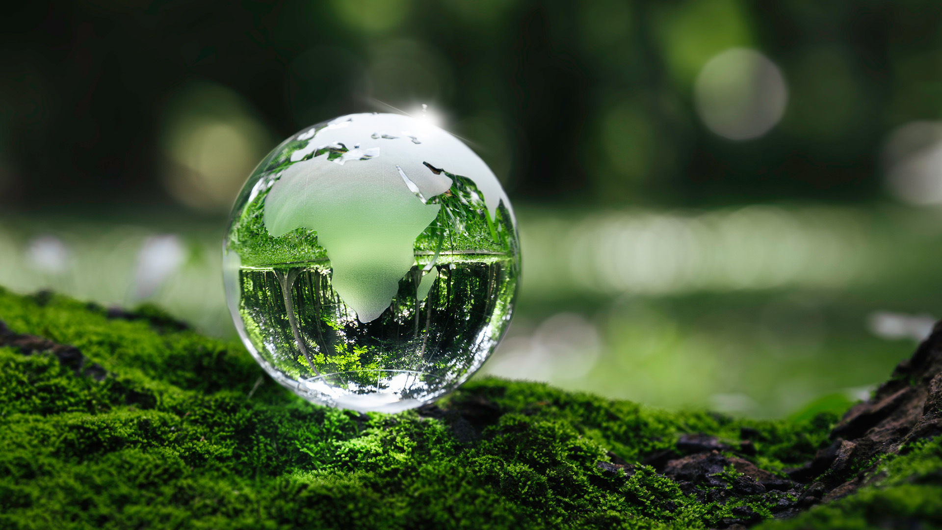 Climate neutrality Responsibility for our future Eichenauer GmbH & Co.KG